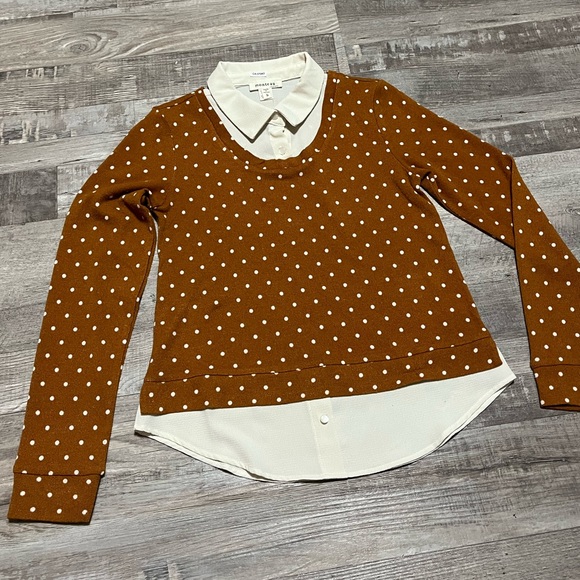 Polka dot collared sweater - Picture 2 of 4